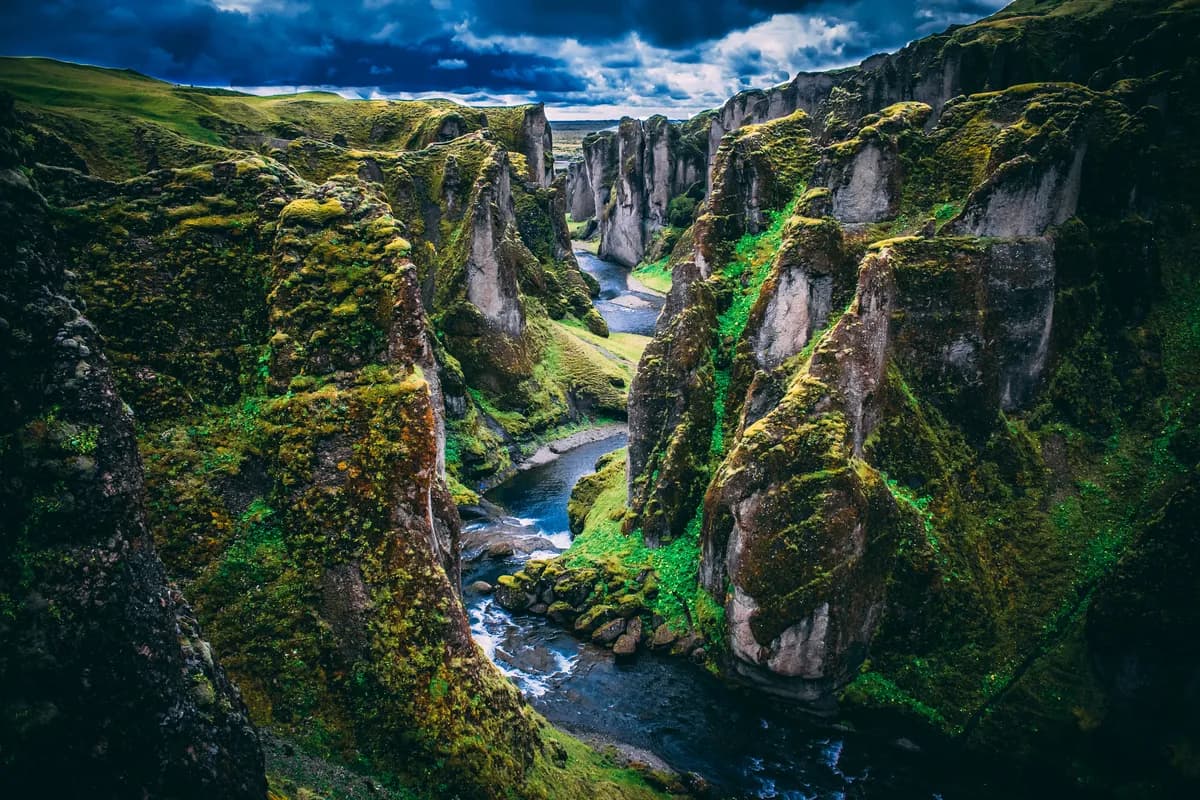 Waterfall and lush vegetation