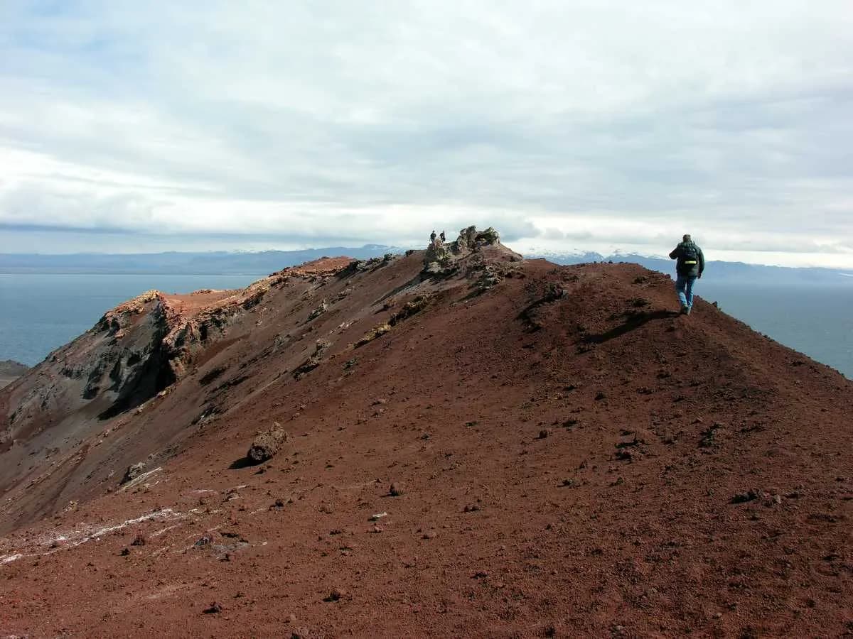 Westman Islands Day Trip